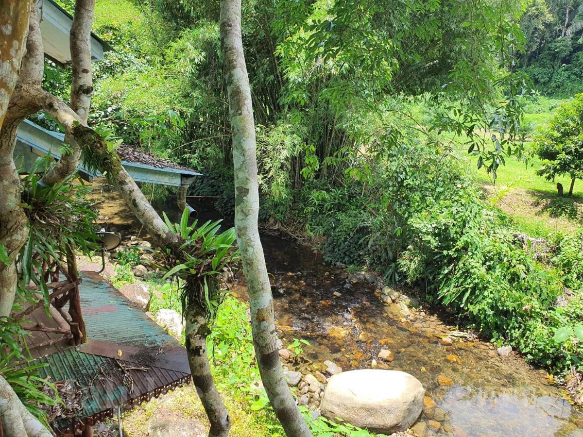 Malulee Khaosok Resort Khao Sok National Park Exterior photo