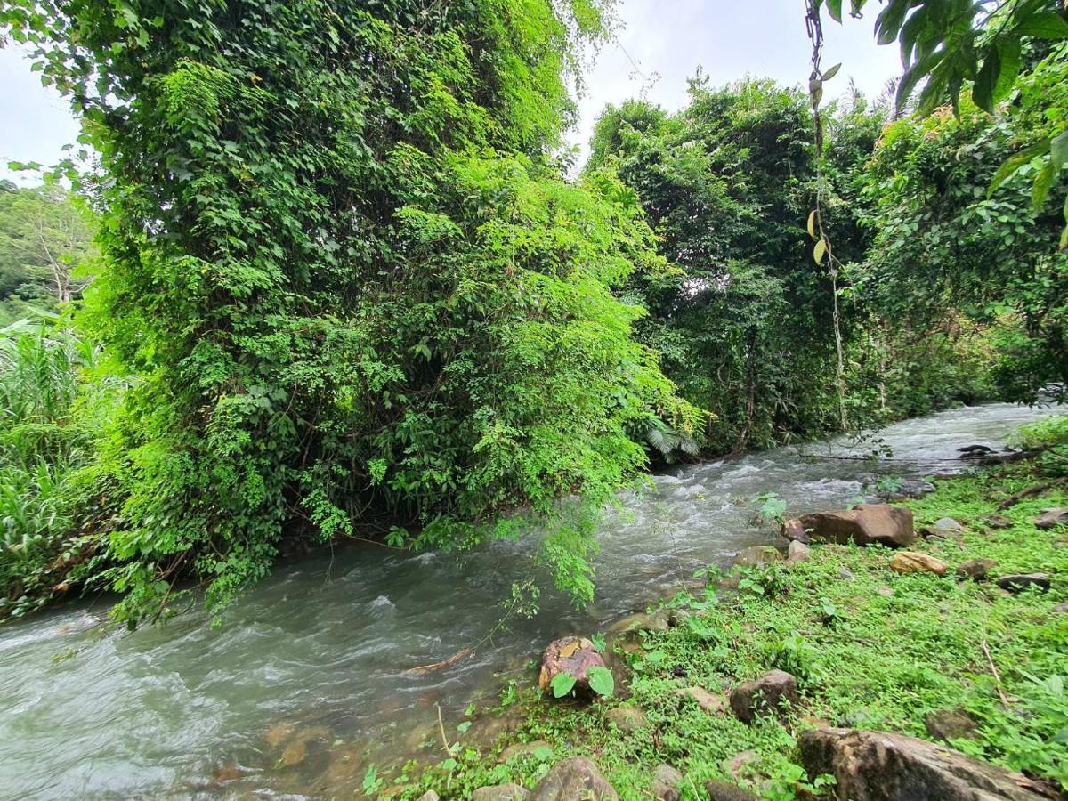 Malulee Khaosok Resort Khao Sok National Park Exterior photo