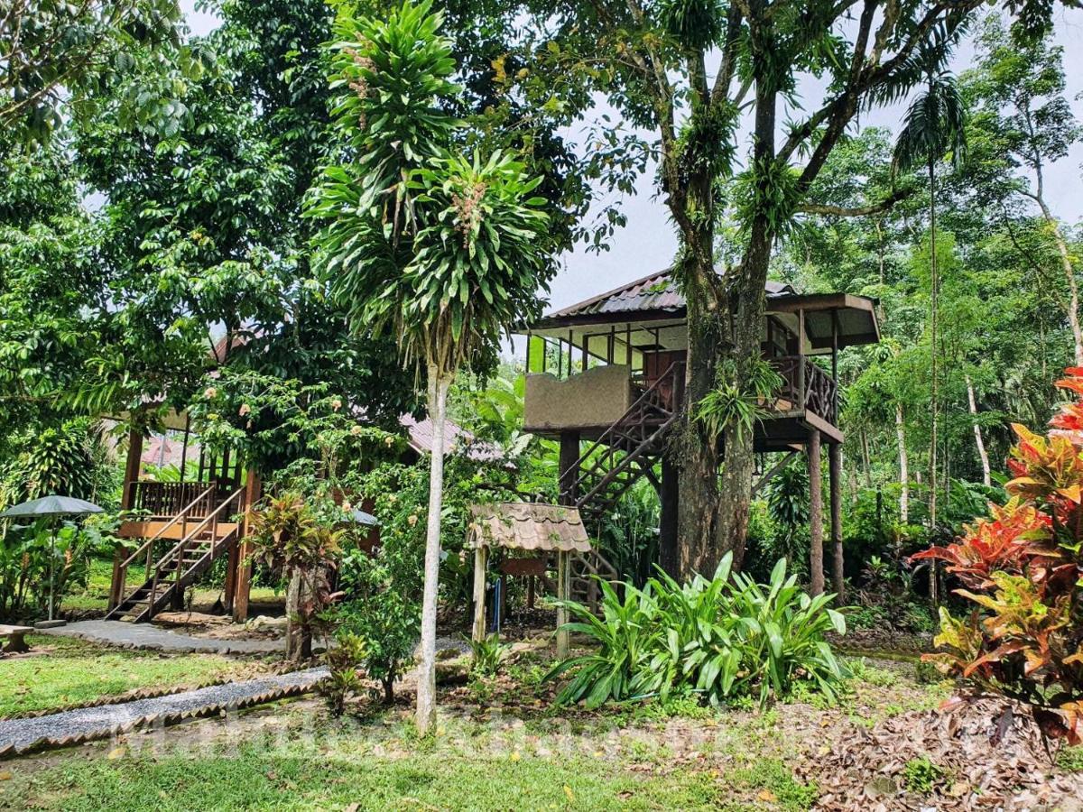 Malulee Khaosok Resort Khao Sok National Park Exterior photo